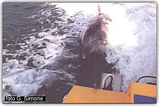 Filippo nella scia del motoscafo