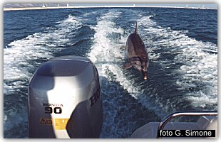 Filippo nel suo gioco preferito