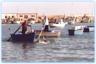 Il buon rapporto tra Filippo ed i pescatori