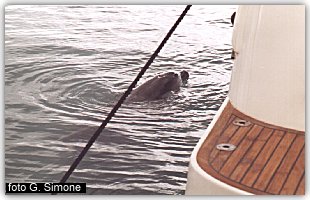 Filippo riposa nei pressi del pontile della L.N.I.