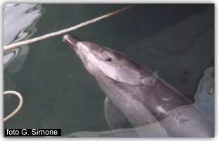Filippo riposa nei pressi del pontile della L.N.I.